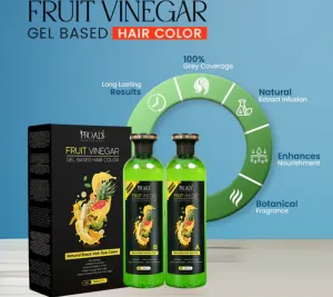  Fruit Vinegar Gel Based Hair Color 125ML (Pack of 2)