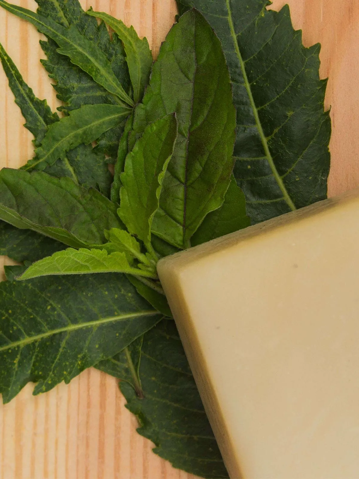 Neem Tulsi Handmade Soap