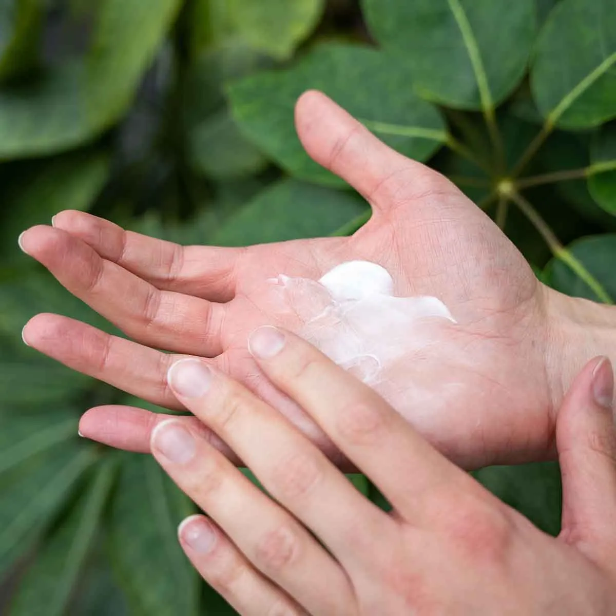 Summer Hill Hand Cream - 75ml